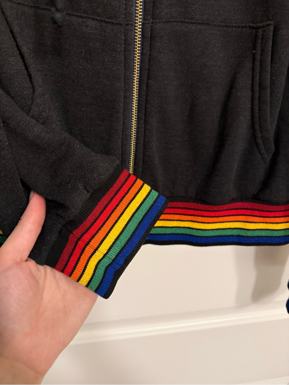 Aviator Nation Black Zip Hoodie with Rainbow Trim - Picture 3 of 3